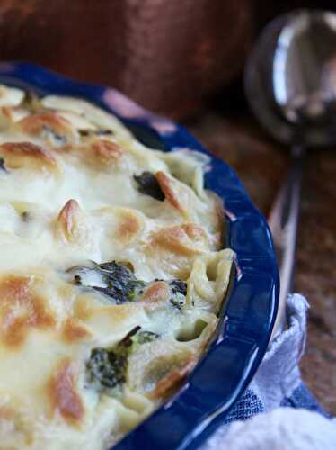 Rapini and Besciamella Orecchiette (Broccoli and White Sauce Pasta)