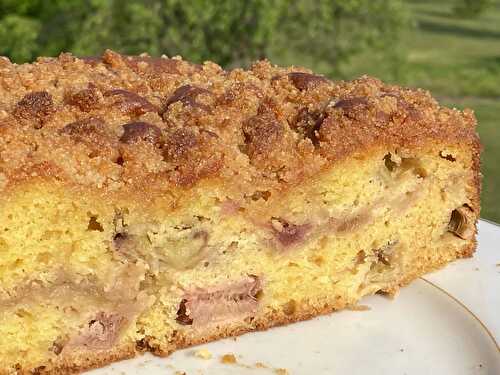 Rhubarb cake with streusel topping