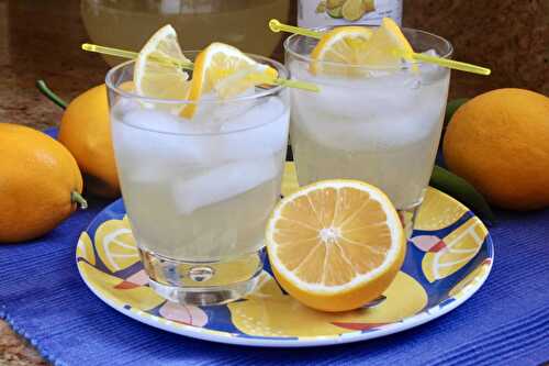 Hard Lemonade Recipe (Tip for the BEST flavor!)