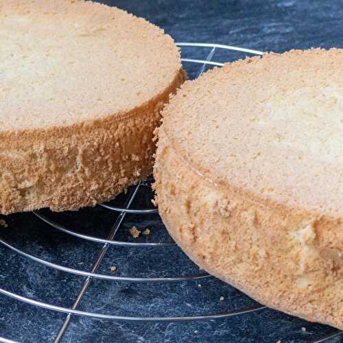 Best Viennese Sponge Cake Bases Recipe