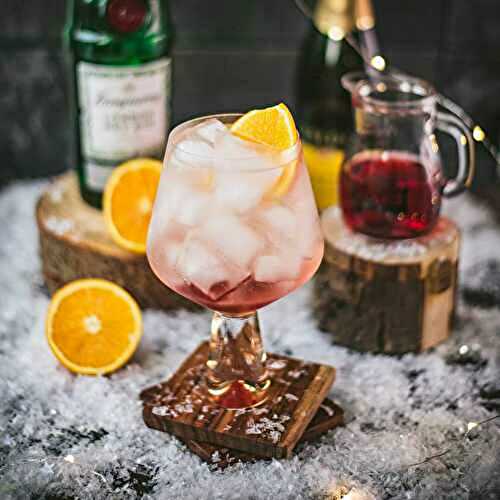 Refreshing Cranberry Gin Spritz