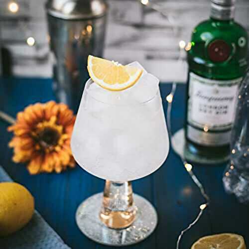 Refreshing Lemon Gin and Tonic