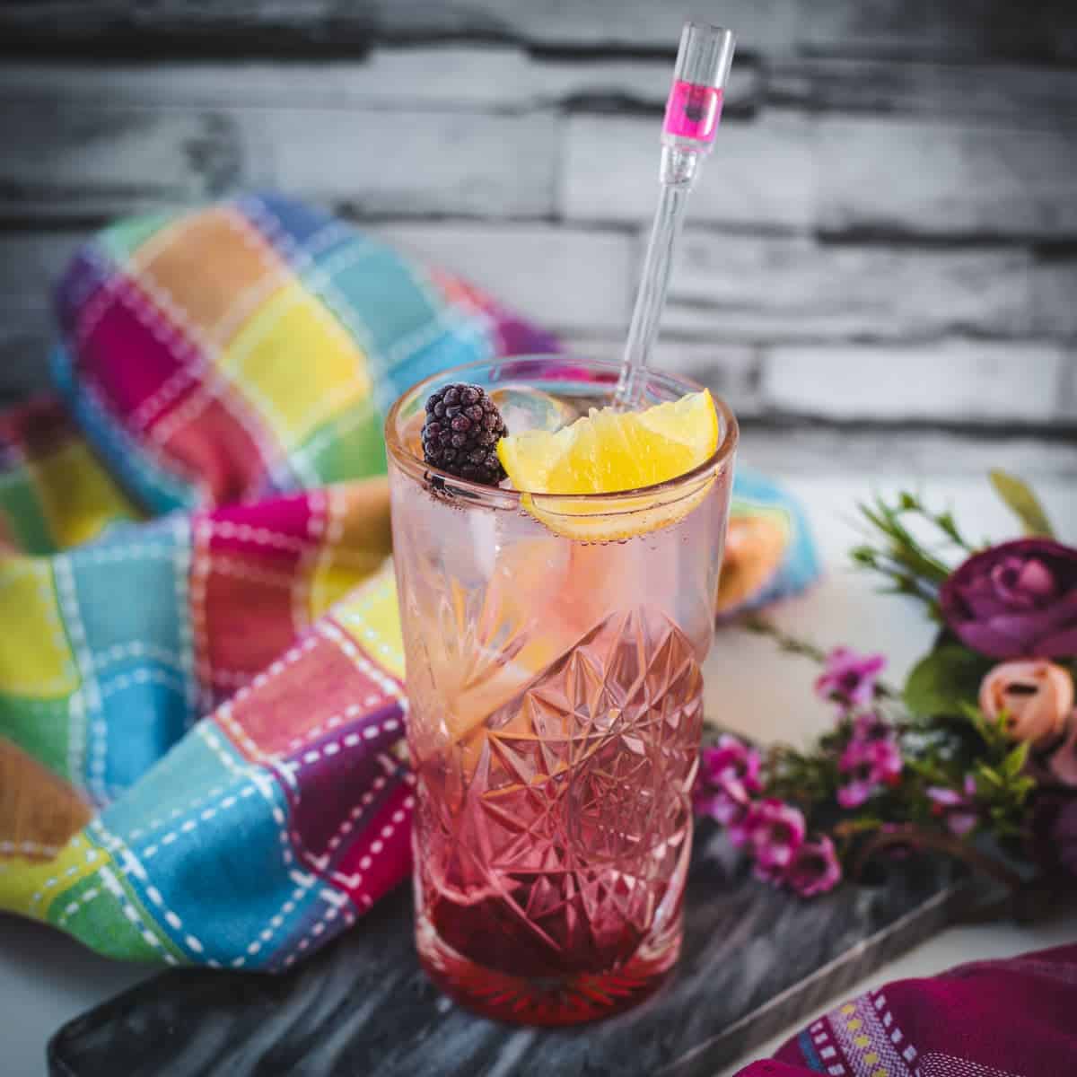 Blackberry Raspberry Gin Fizz Cocktail