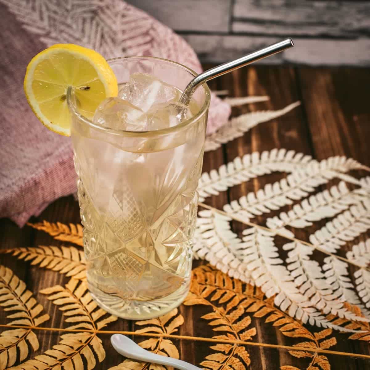 Bourbon Highball Recipe