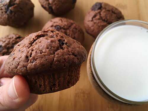 Moist Chocolate Muffins