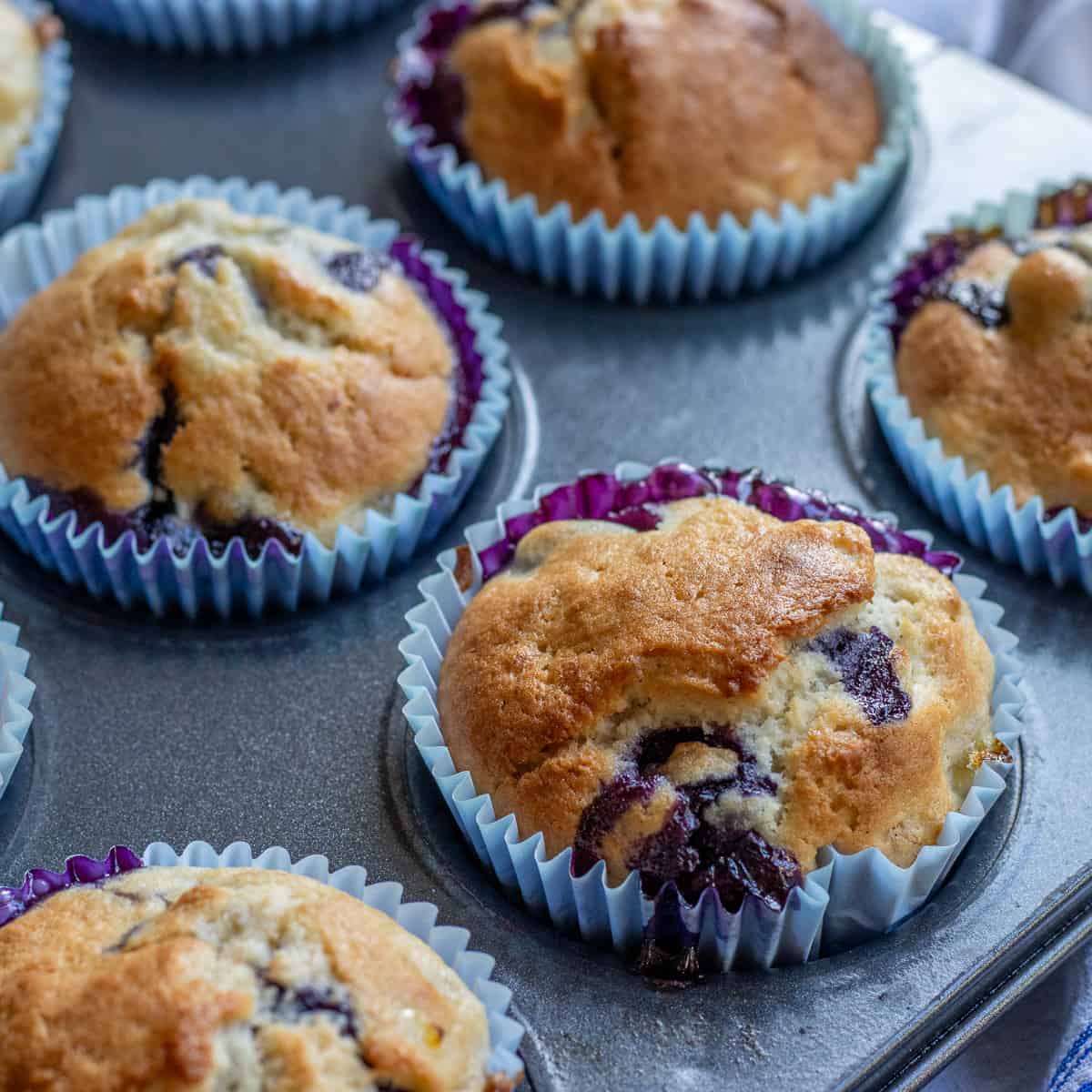 Banana Blueberry Muffins with Yogurt