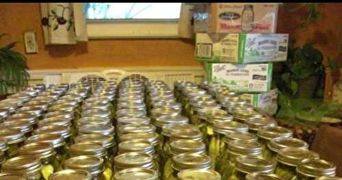 300+ Quart Jars – Dill Pickles