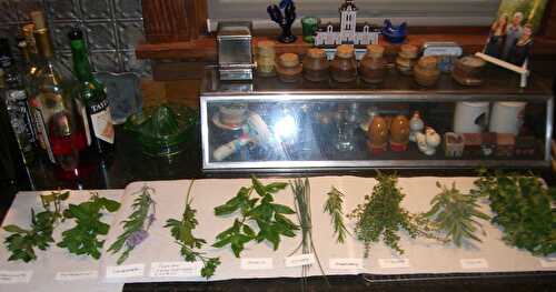 HARVESTING GARDEN HERBS . . . Drying Summer Herbs