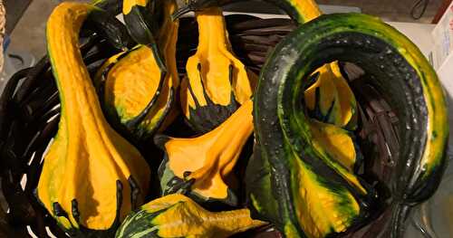  Preserving Gourds - a non-edible kitchen project 