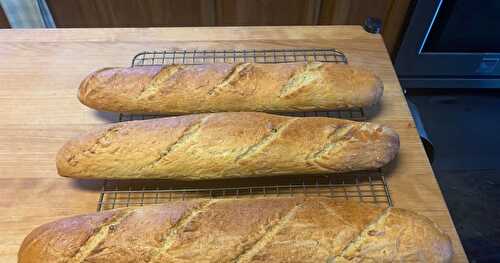Shortcut Sourdough French Bread  
