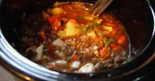 Soup on a Chilly Day! Hamburger-Vegetable Soup
