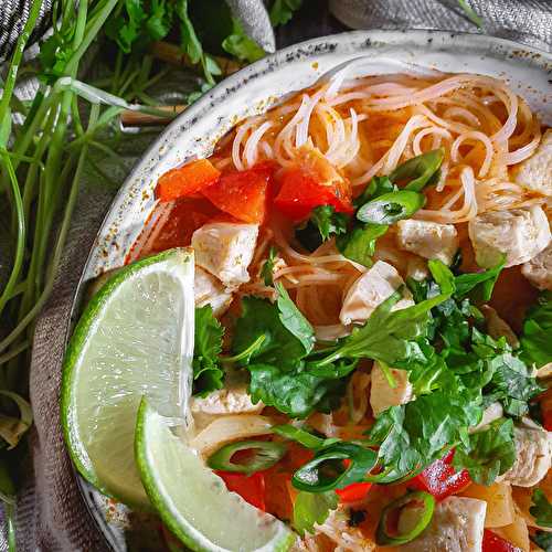 Thai Red Curry Noodle Soup Recipe - Cooking with Bry