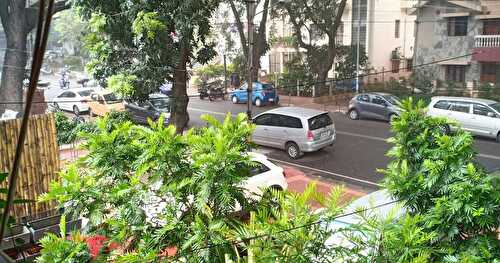 OUR DINING EXPERIENCE : GO NATIVE