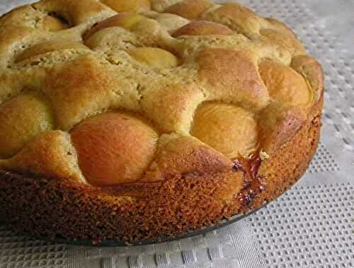 Apricot Cake with Olive Oil and Spelt Flour