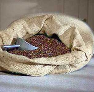 Kasha is never better than when made this way