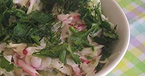 Spring Gari Coleslaw