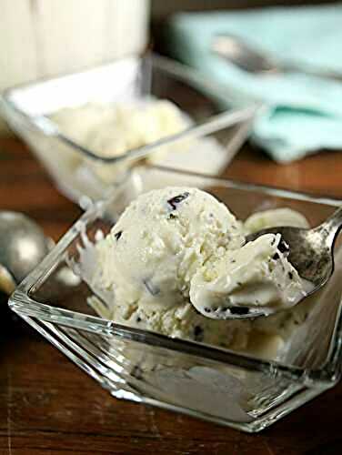 Chocolate Chunk Coconut Ice Cream