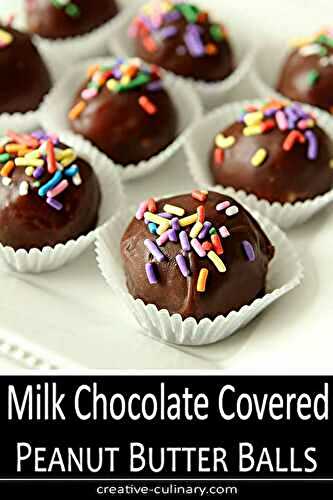 Milk Chocolate Covered Peanut Butter and Coconut Balls