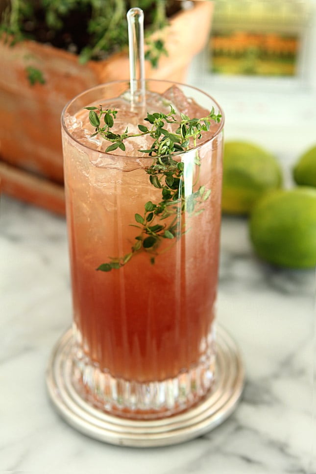 The El Diablo Cocktail with Pisco and Ginger Beer