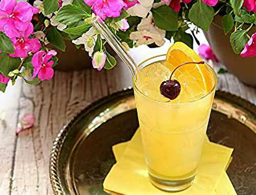 The Preakness 'Black-Eyed Susan' Cocktail