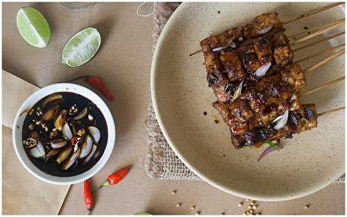 Sate Tempe (Grilled Skewered Soy Bean Cakes) - Dreamy Table