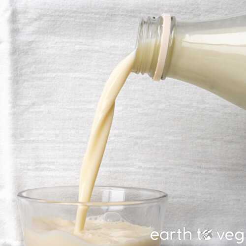 Homemade Soy Milk (Stovetop or Instant Pot)