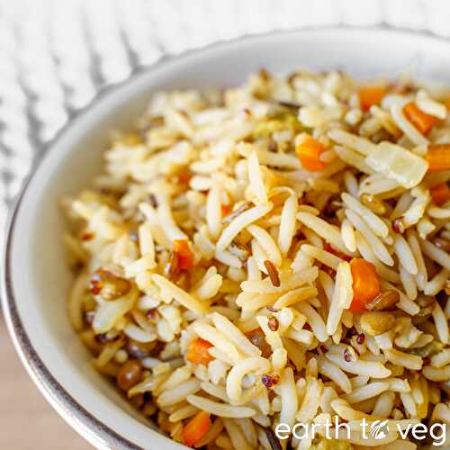 Instant Pot Wild Rice Blend