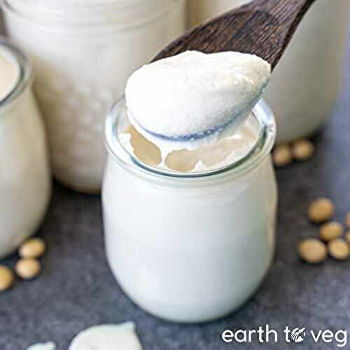 Vegan Soy Cashew Yogurt (Instant Pot or Stove)