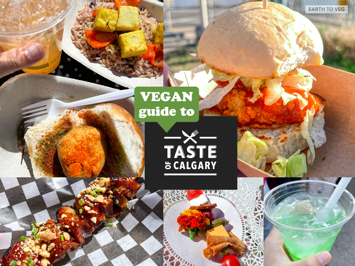 Taste of Calgary 2023: Vegan Food Guide