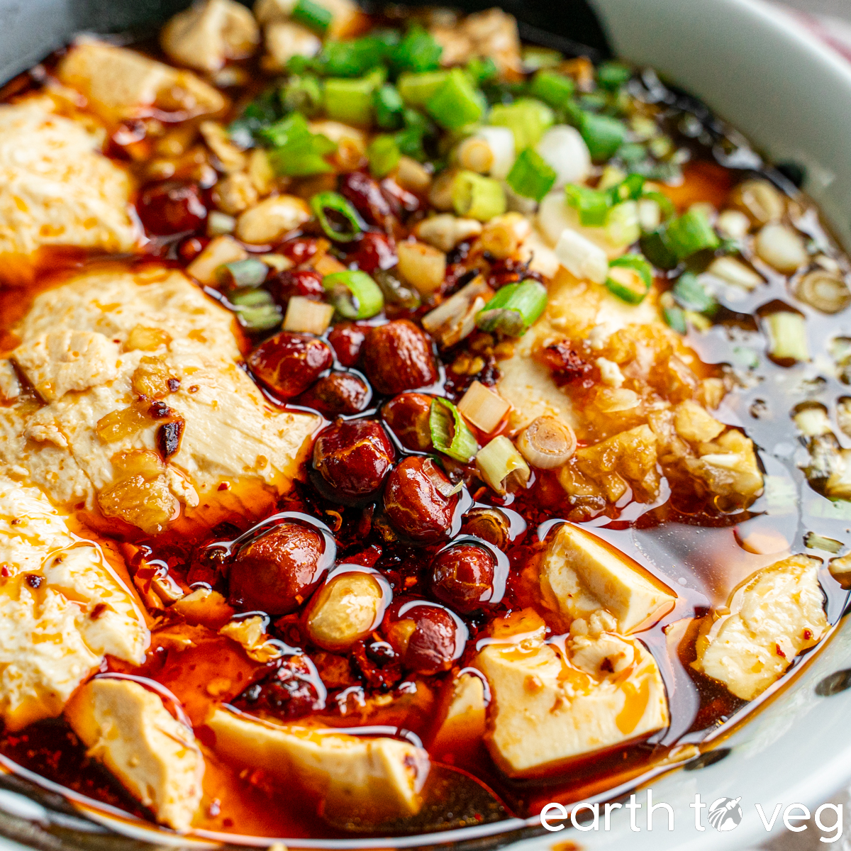 Sichuan Doufunao (Spicy Tofu Pudding)