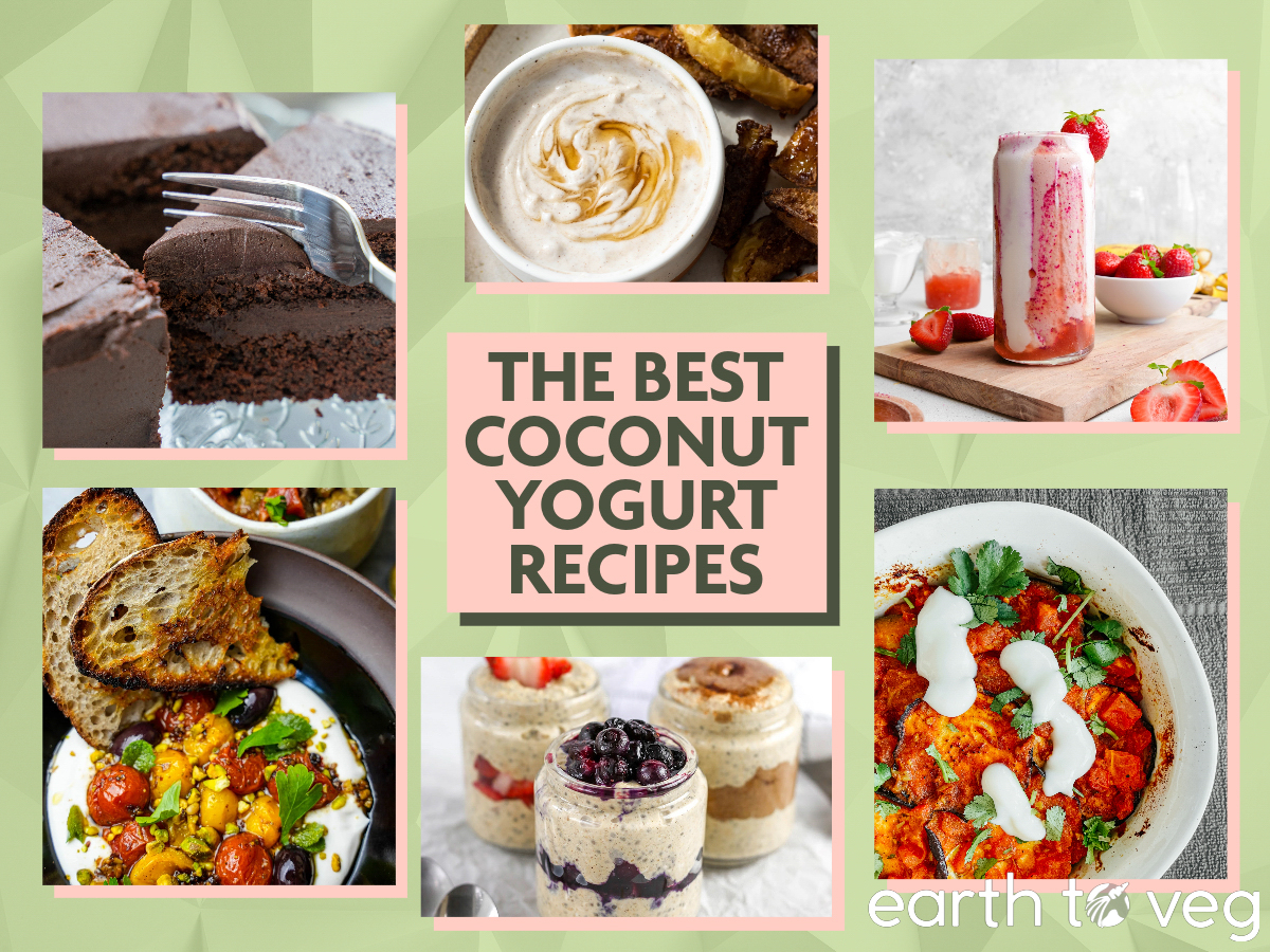 Top 20 Recipes with Coconut Yogurt