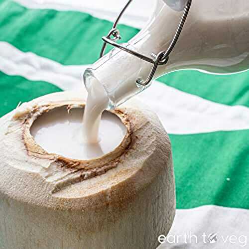 Chinese Coconut Milk Drink