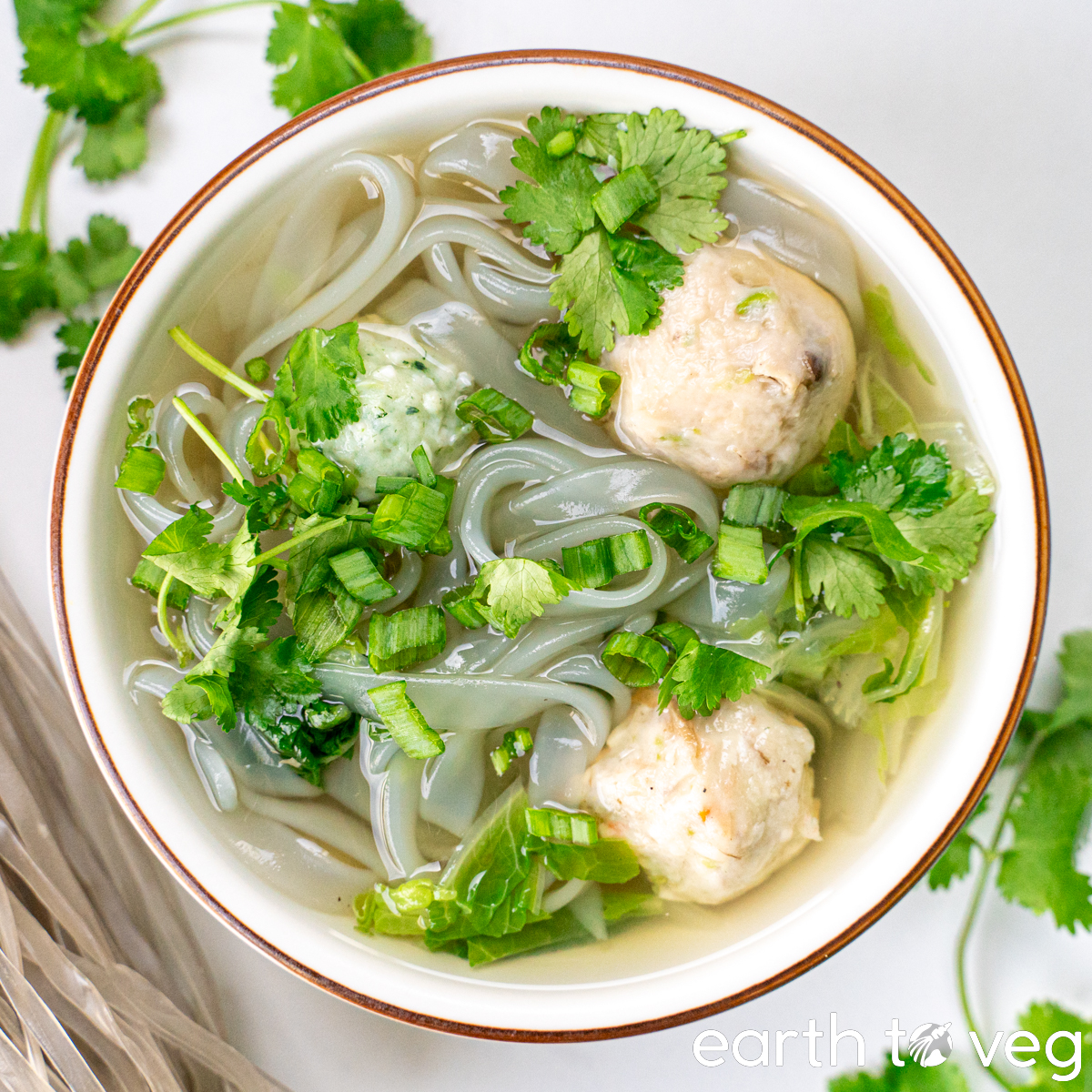 No-Fish Ball Noodle Soup