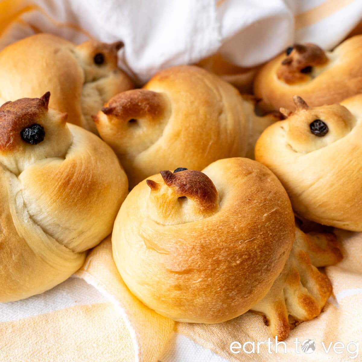 Zhavoronki (Russian Easter Lark Buns)