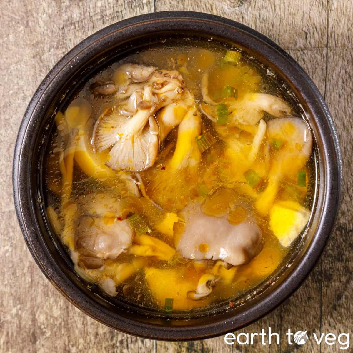 Oyster Mushroom Soup