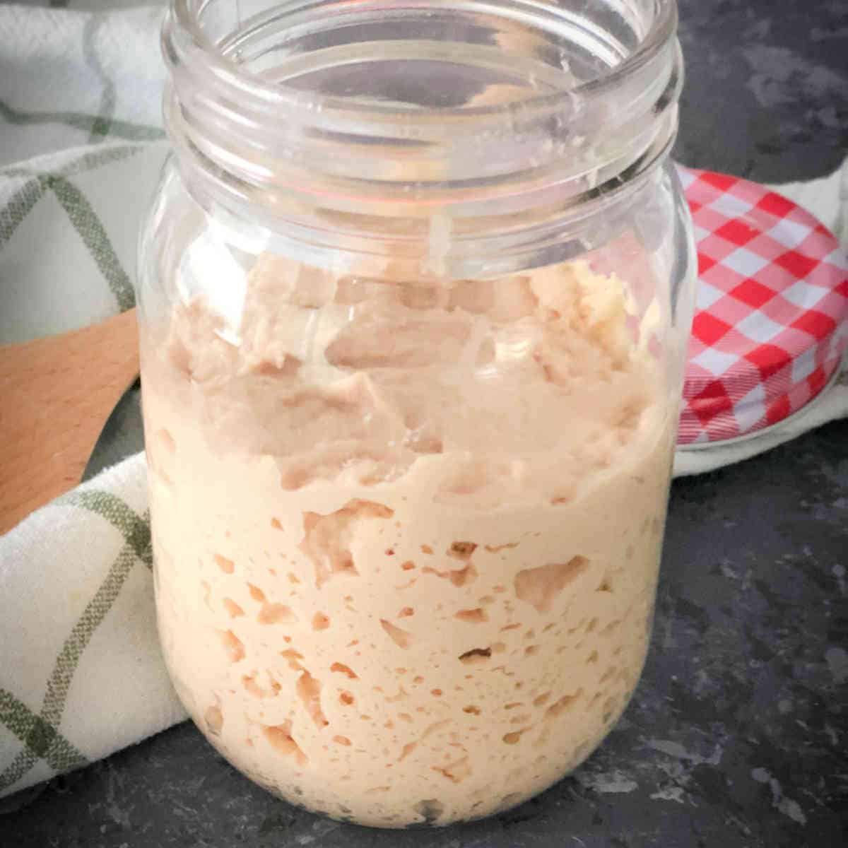 Atta Sourdough Starter
