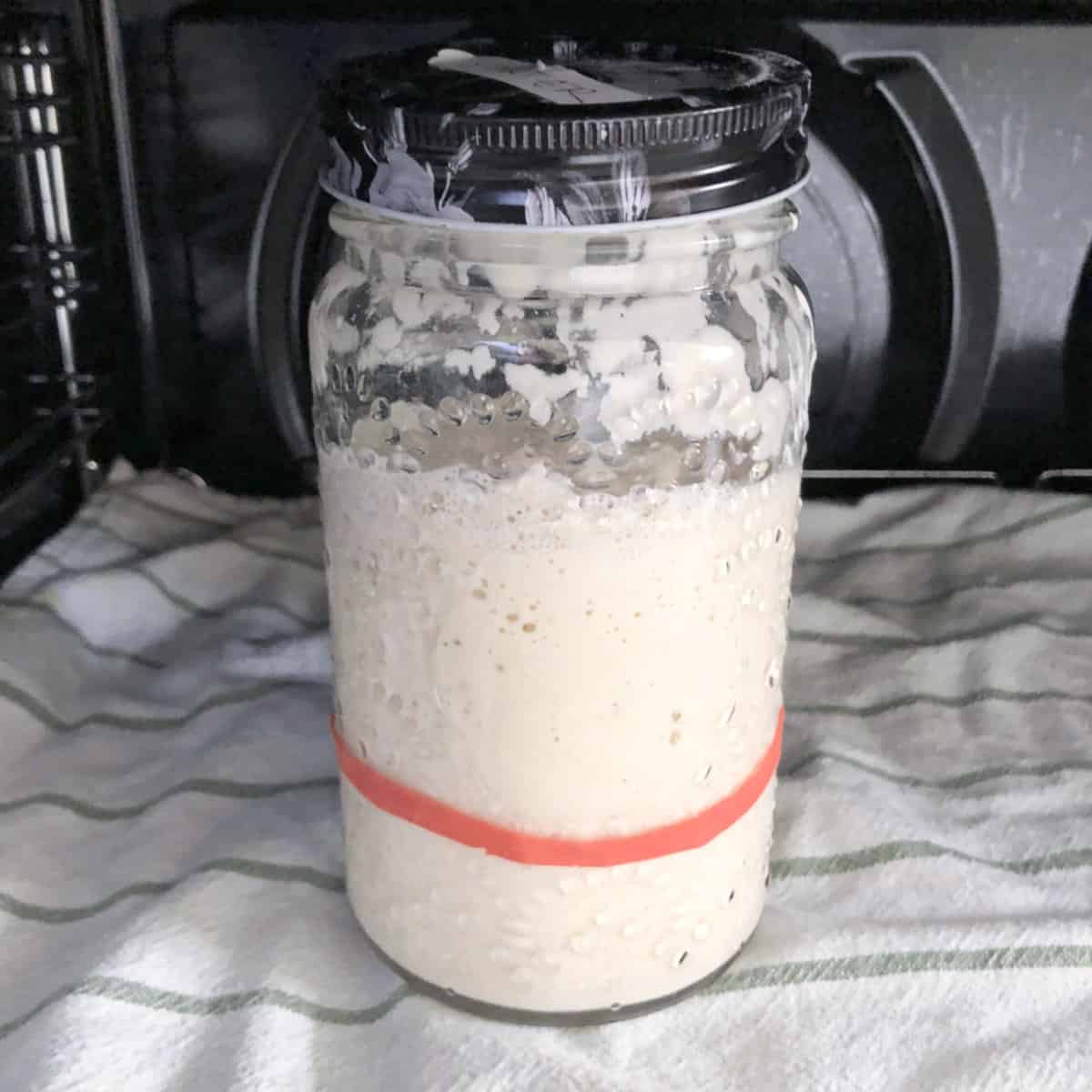 Feeding and Maintaining a sourdough starter