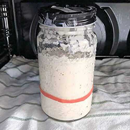 Feeding and Maintaining a sourdough starter