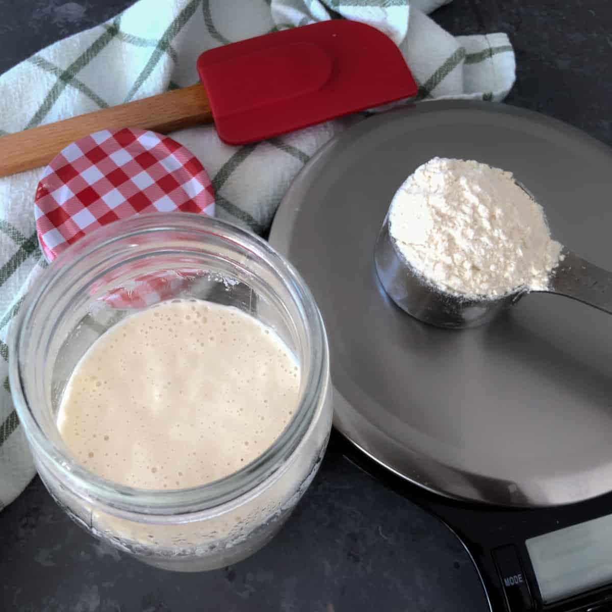 How to make sourdough starter