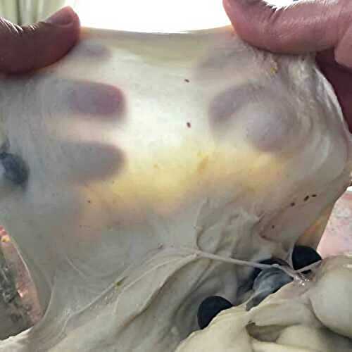 How to Stretch and Fold Sourdough