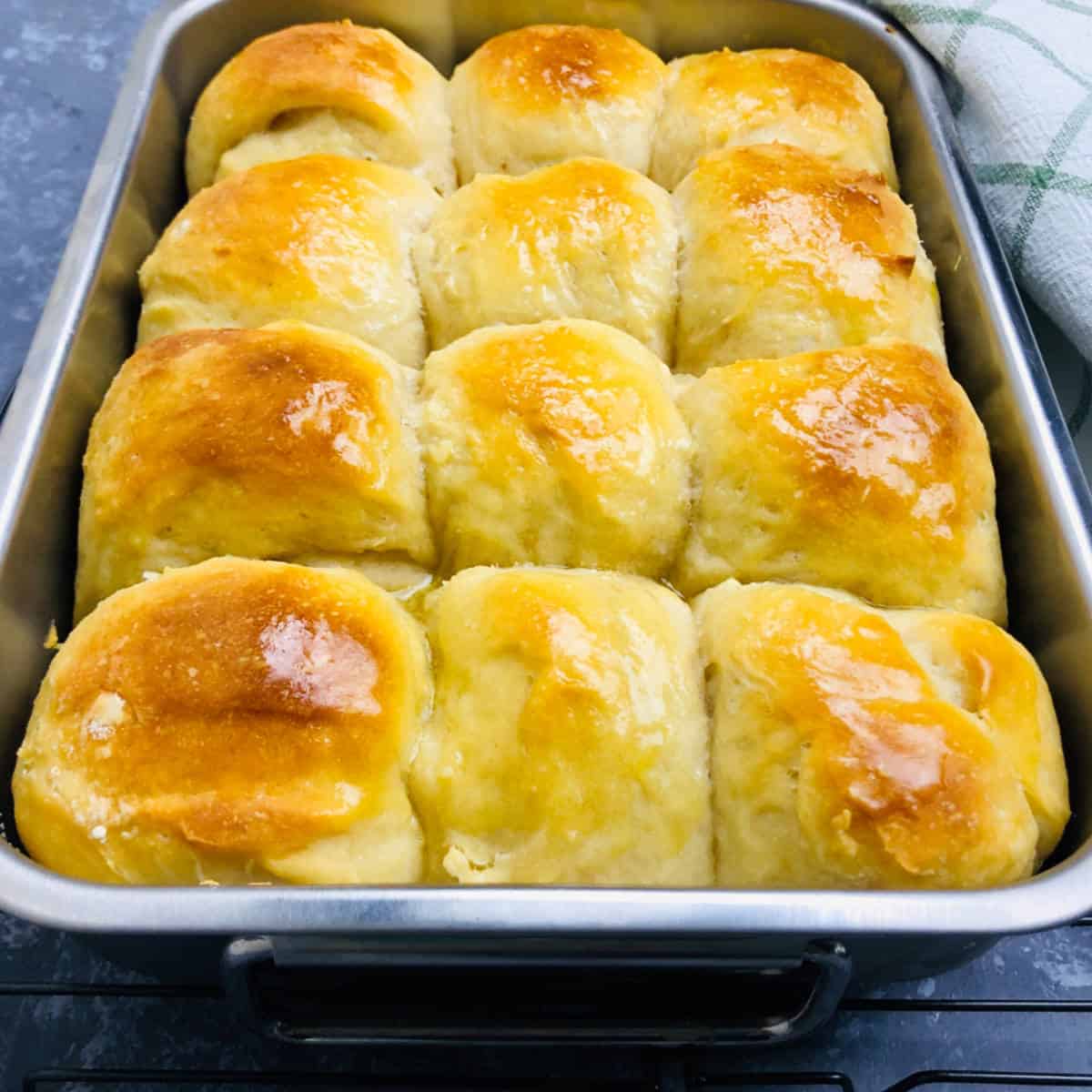 Sourdough Dinner Rolls