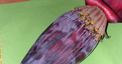 Banana Flower