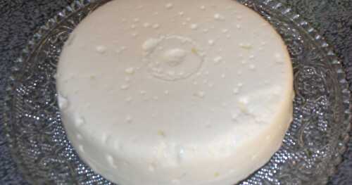 Home-made Paneer/Cottage Cheese