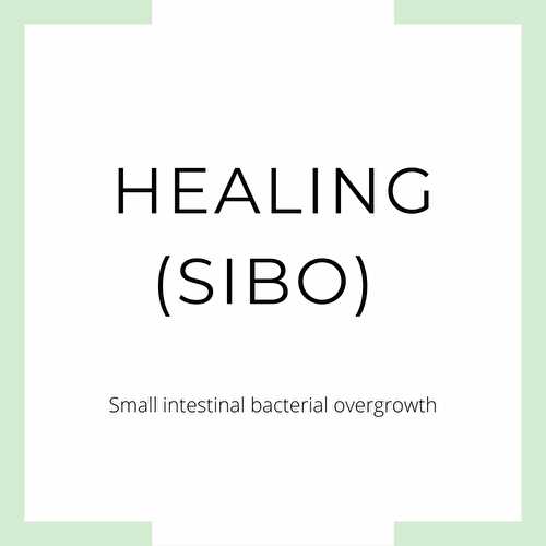 Healing SIBO, My Gut Healing Journey | Feedthatblonde