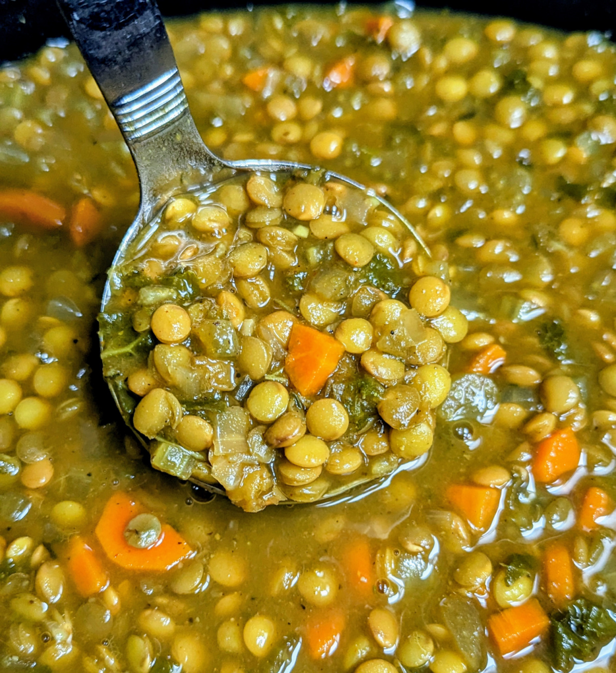 Slow Cooker Curried Lentil Soup