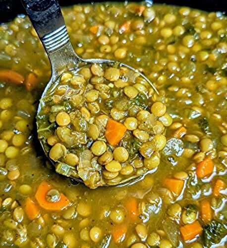 Slow Cooker Curried Lentil Soup