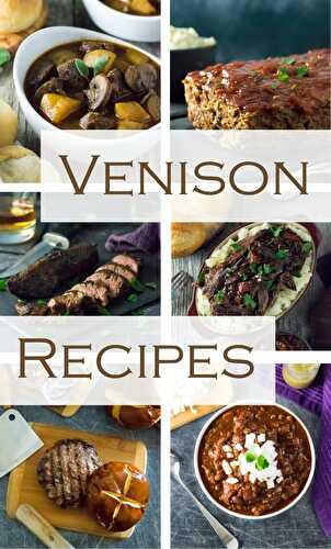 22 Best Venison Recipes