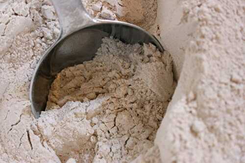 How much whole-wheat grain flour in a cup | FreeFoodTips.com
