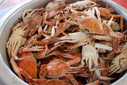 How to cook crabs on the stove? | FreeFoodTips.com