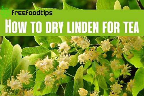 How to Dry Linden Flowers for Tea | FreeFoodTips.com